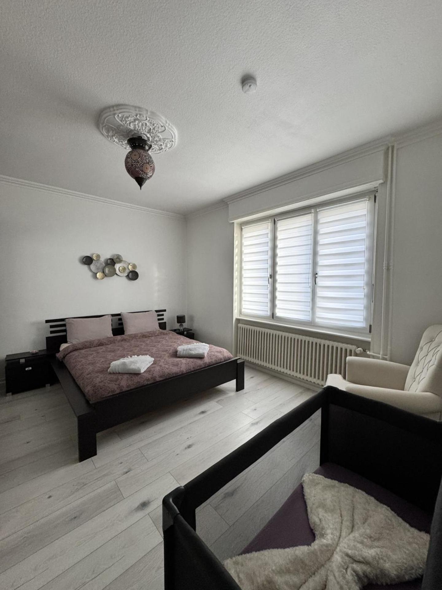 Appartement Des 3 Pays. 2 Mn De Bale+ Free Parking Сен-Луи Экстерьер фото