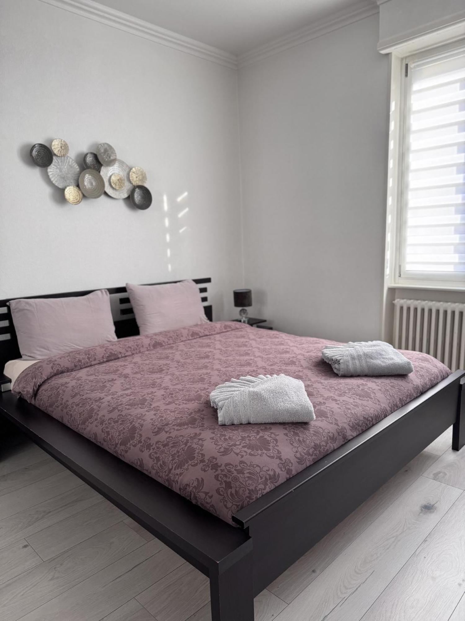 Appartement Des 3 Pays. 2 Mn De Bale+ Free Parking Сен-Луи Экстерьер фото